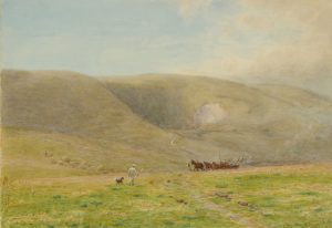 Scene on the Downs