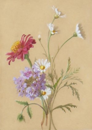 Study of Flowers