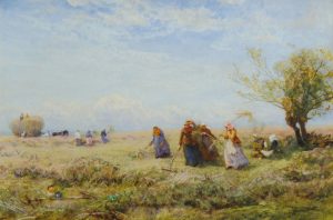 Harvesters near Amberley