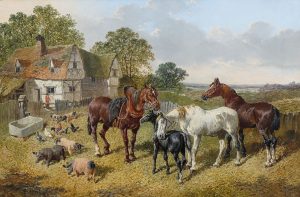 Farmyard Scene