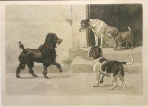 A Distinguished Foreigner, A Foreigner Extinguished, (French Poodle, Jack Russell, Beagle)