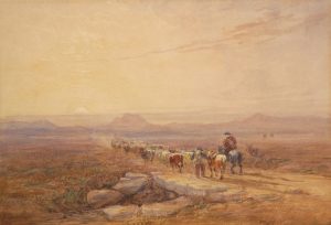 On a Highland Moor