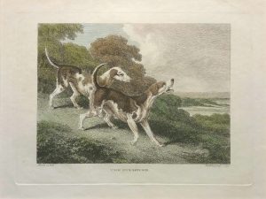 The Fox-Hound