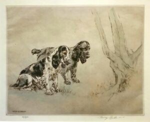 Cocker Spaniels /