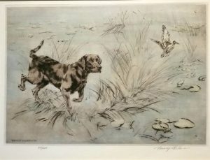 Chocolate Labrador & Snipe