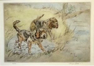 Otter Hounds /