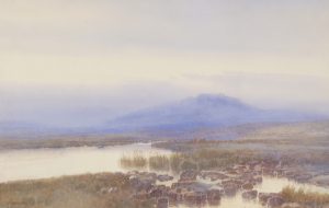 In Taw Marsh