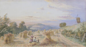 In the Cornfield