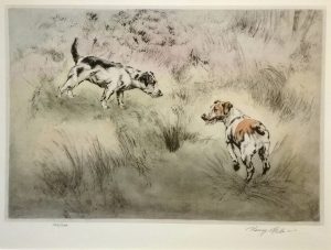 Jack Russell Terriers