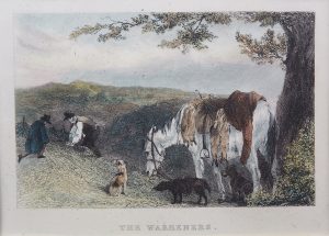 The Warreners