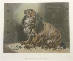 The Pet of the Duchess