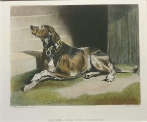 Waiting for the Countess