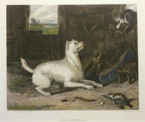 The Intruder