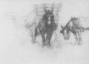 Study of cart Horses