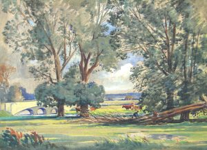 In the Watermeadows