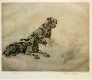 Pair of Labradors