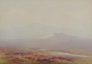 Blackabrook Valley, Dartmoor