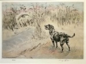 Labrador & Woodcock