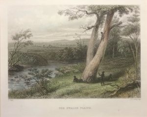 The Gwalor Plains
