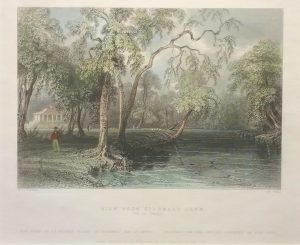 View from Glenmary Lawn (on the Owago)