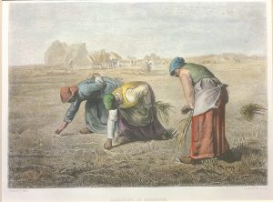 Gleaning in Belgium