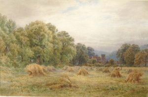 Harvest Time