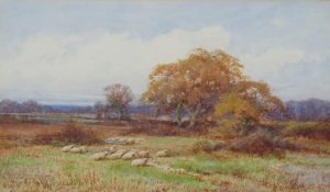 Quietude in Sunshine on Flintwick Moor, Bedfordshire