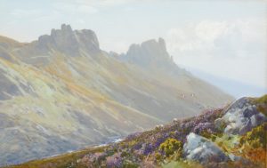 A Dartmoor Valley
