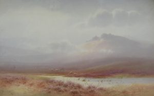 Near Plym Steps, Dartmoor