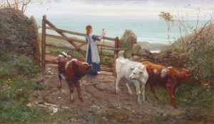 Girl with Calves on the Coast