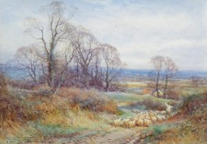 Sheep on a Country Lane