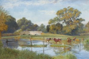 Cattle Watering