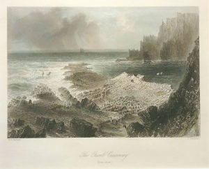 The Giant's Causeway, from above