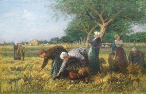 Gleaning