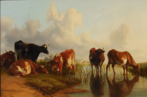 Cattle by a Pool