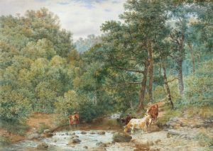 Cattle watering in a Woodland Stream