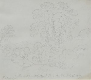 3 Drawings On the Road to Dolgellau; From Pont Newydd; Pont Pandy,