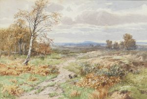 Rabbits on a Heath