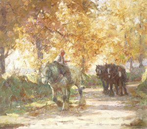 An Autumn Morning