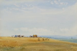 Harvest Scene
