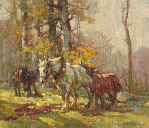 Autumn Woodland