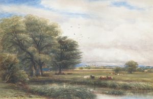 Near Peterborough