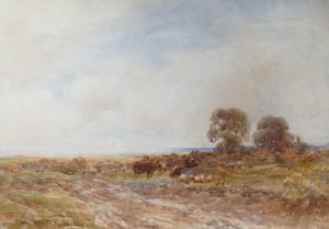 Cattle Grazing on Moorland