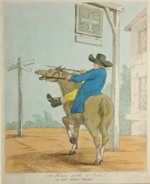 A horse with a Nose