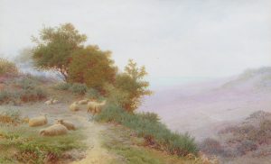 Sheep Resting on a High Bluff