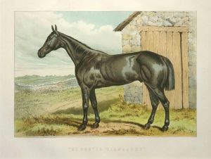 The Hunter "Glengarry"