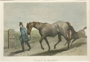 Going to Market