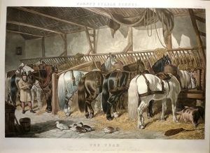 The Team, Fores's Stable  Scenes