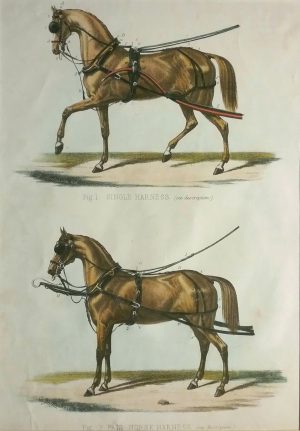 Single Horse Harness & Pair Horse Harness, lithograph