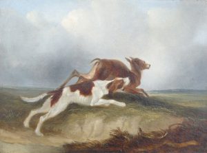 Deer Hunting